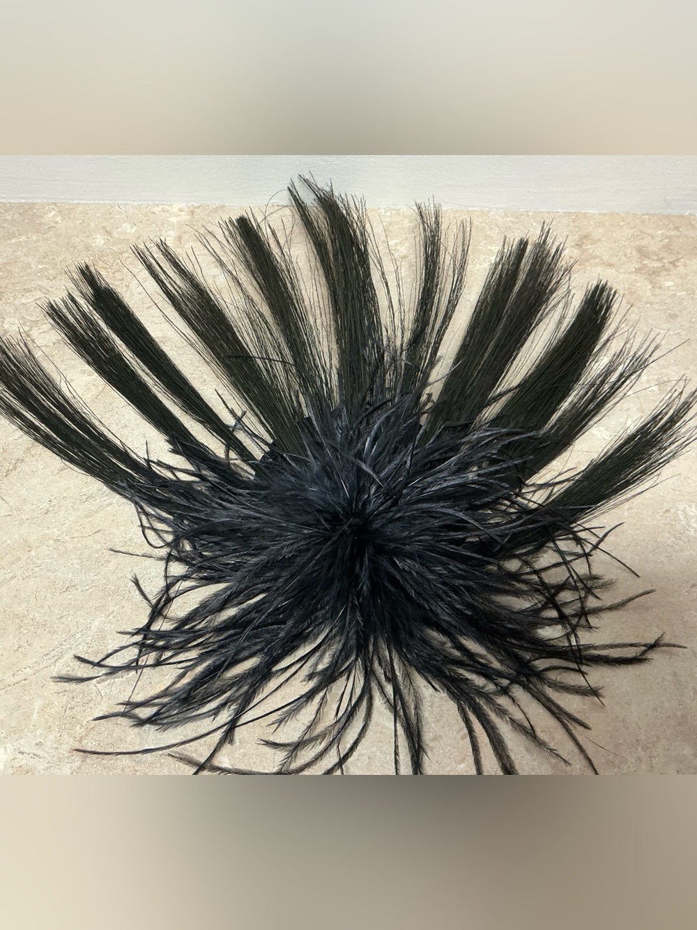 Fascinator Black Feather Hair Accessory